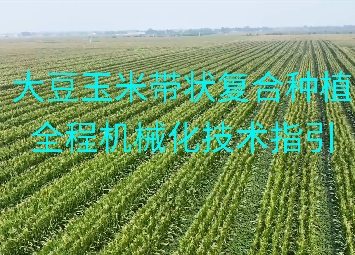 小麦机械化收获减损技术指导